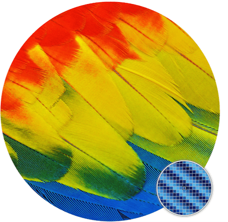 A Demo of the color picker choosing a color.